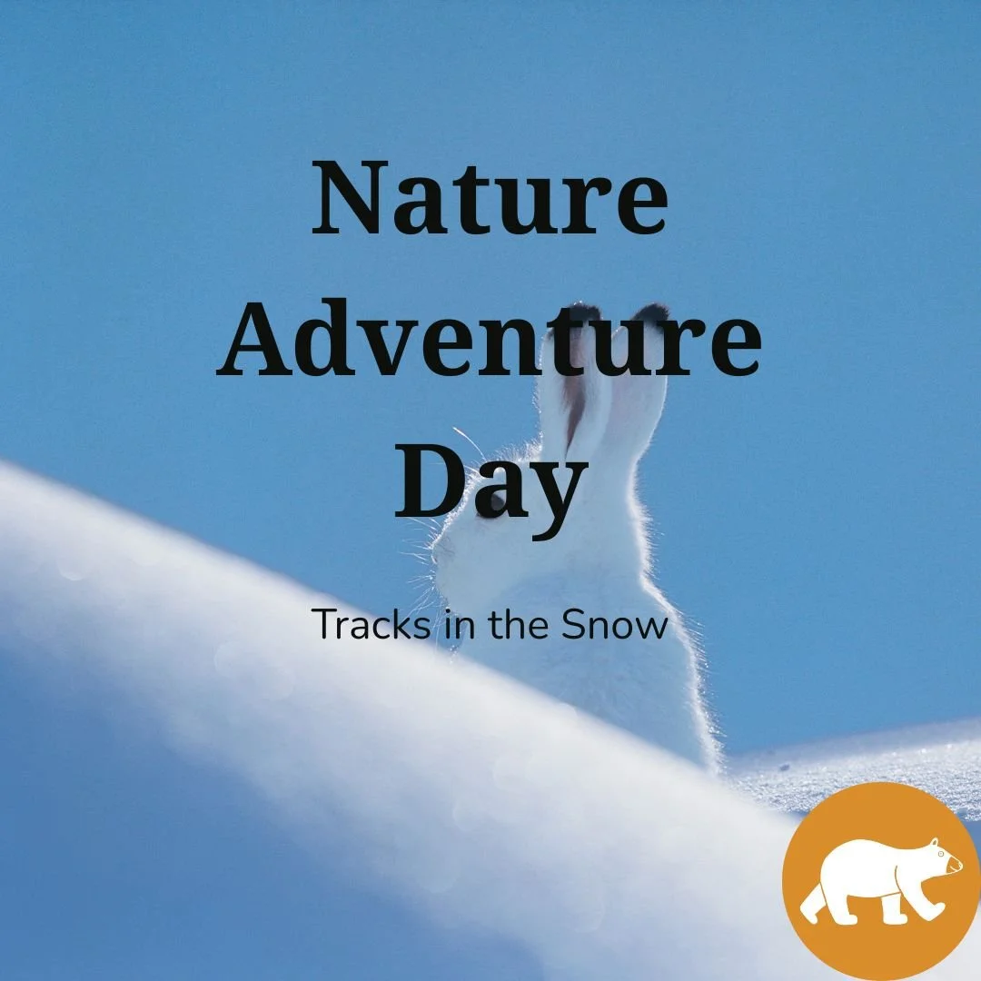 Nature Adventure Day - Tracks in the Snow