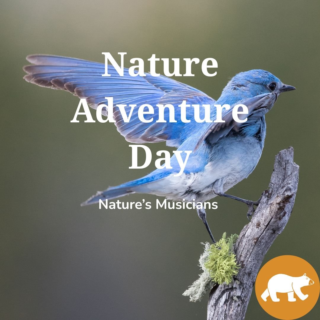Nature Adventure Day - Nature’s Musicians 