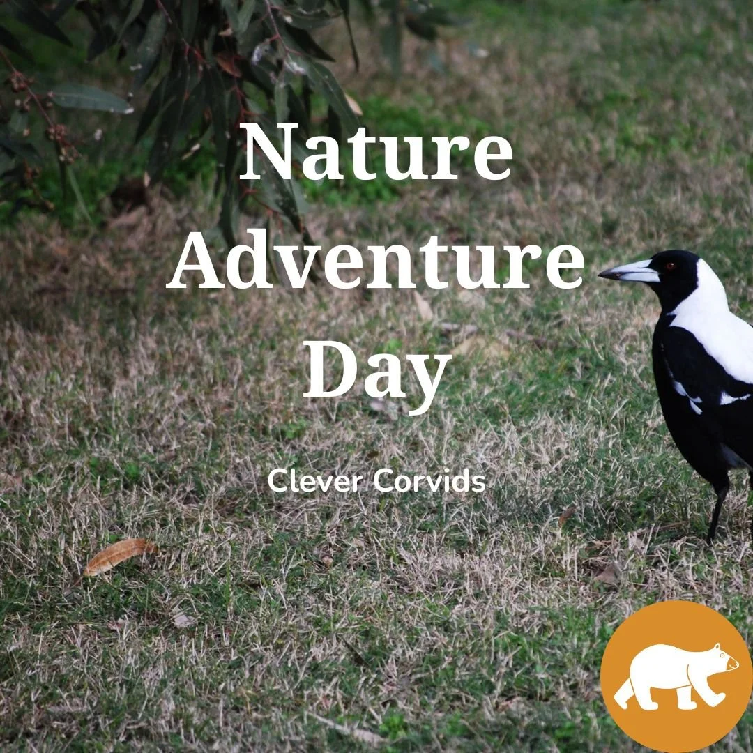Nature Adventure Day - Clever Corvids