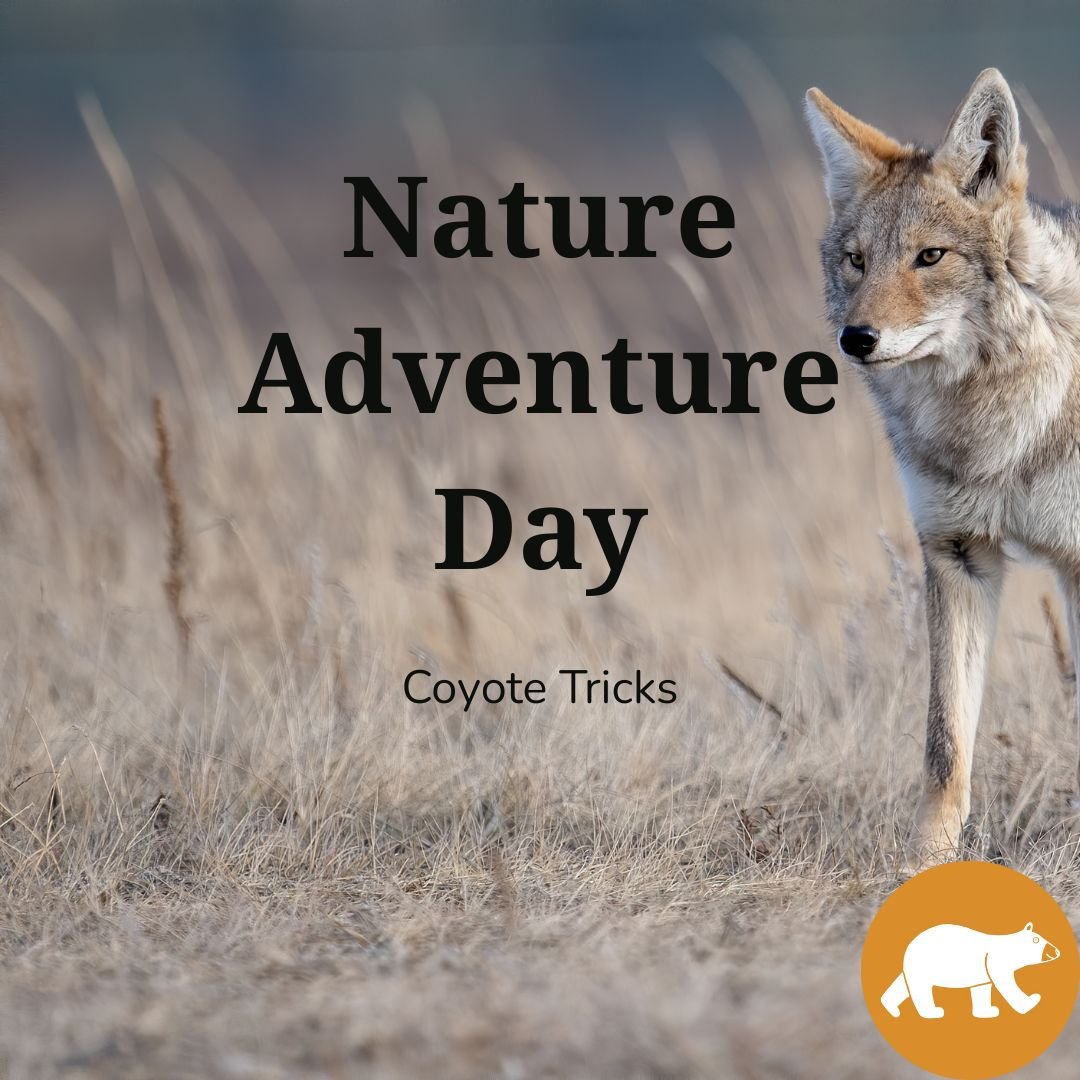Nature Adventure Day - Coyote Tricks