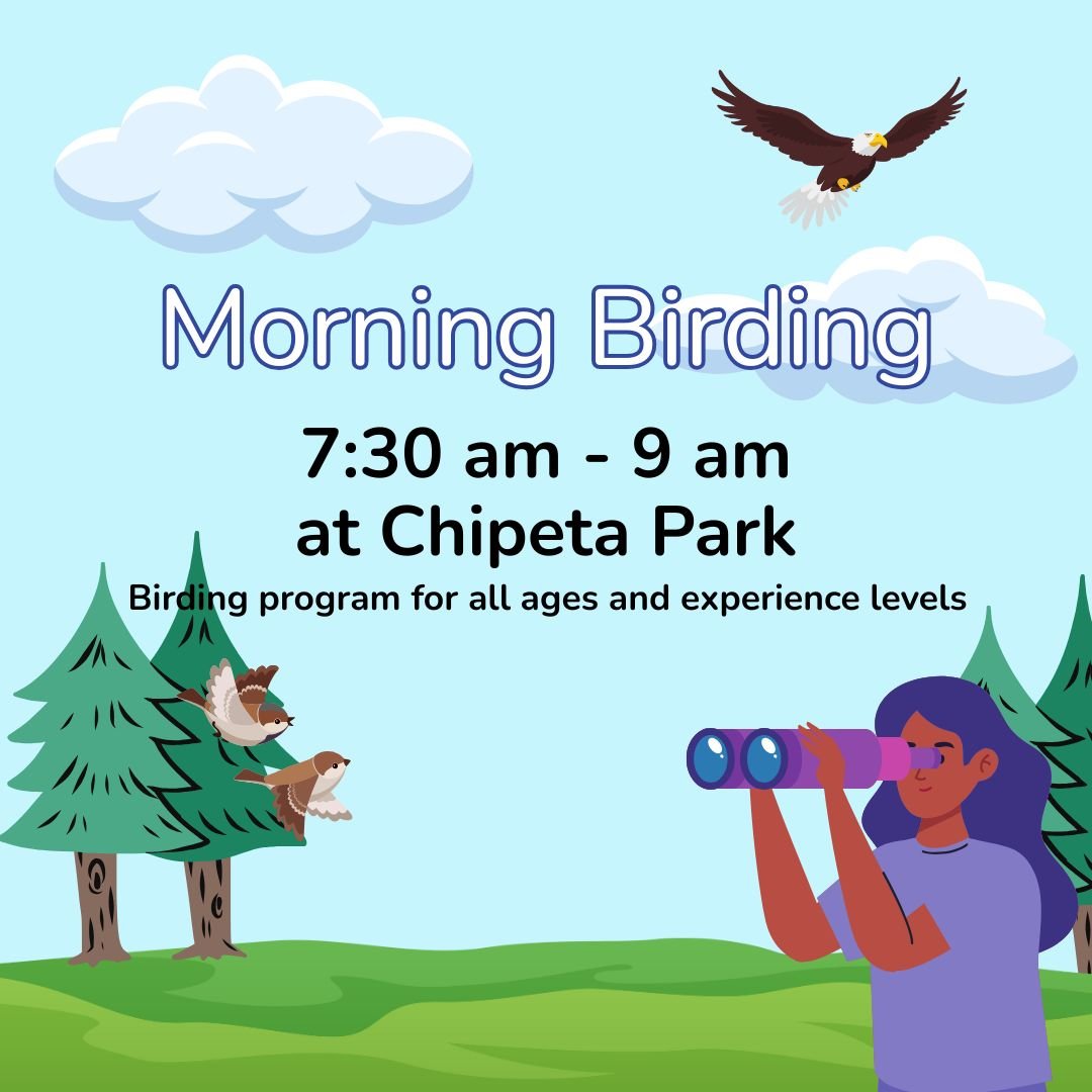 Saturday Morning Birding
