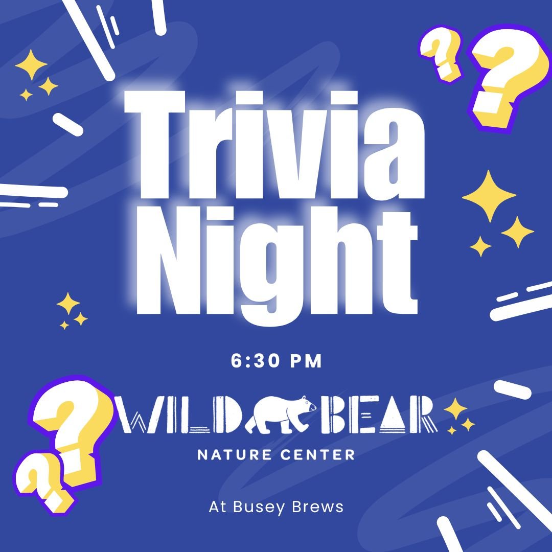 Trivia at Busey Brews!