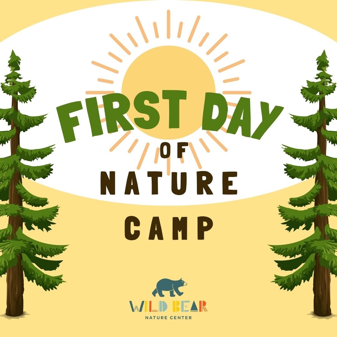 First Day of Camp!