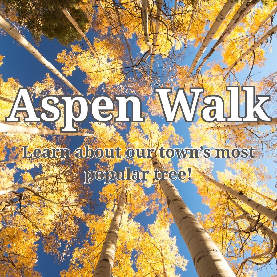 Aspen Walk