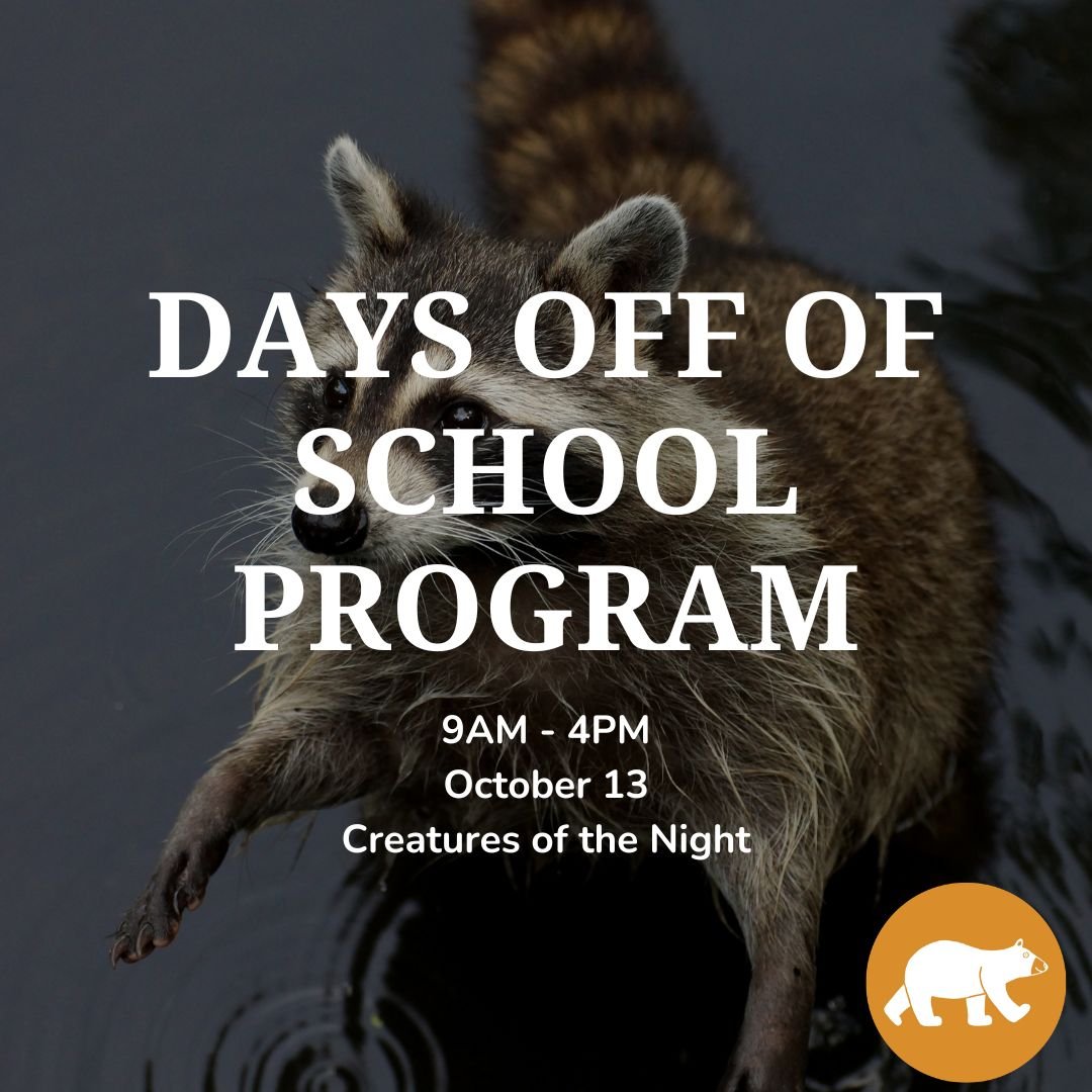 School days off: Creatures of the Night