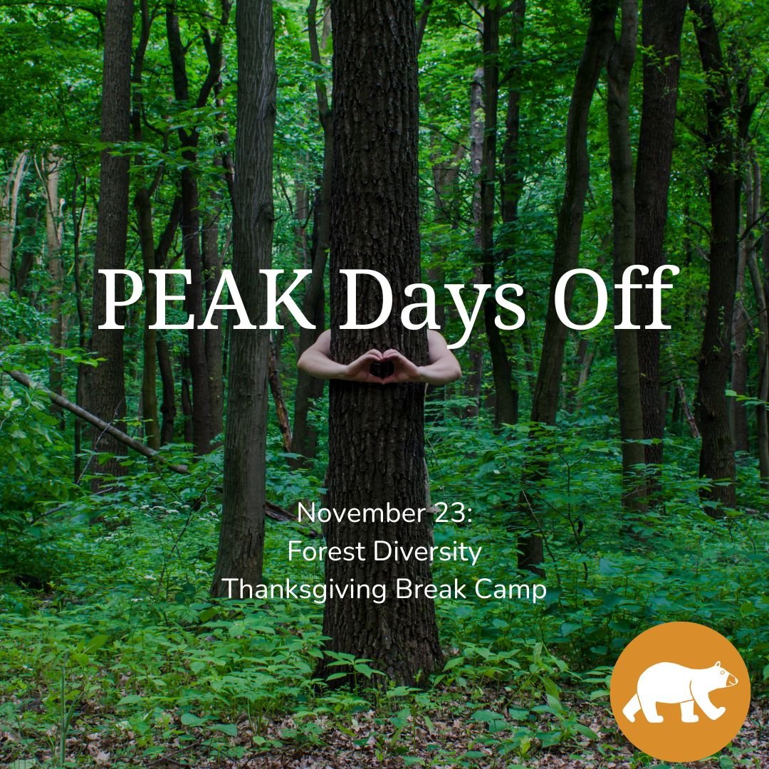 PEAK Days off: Forest Diversity — Thanksgiving Break Camp