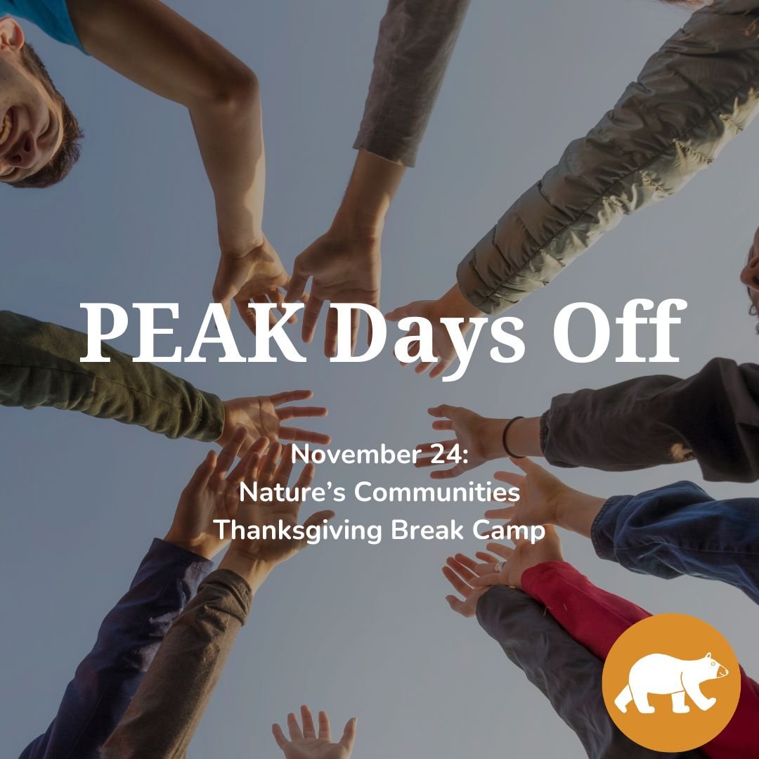PEAK Days off: Nature’s Communities — Thanksgiving Break Camp