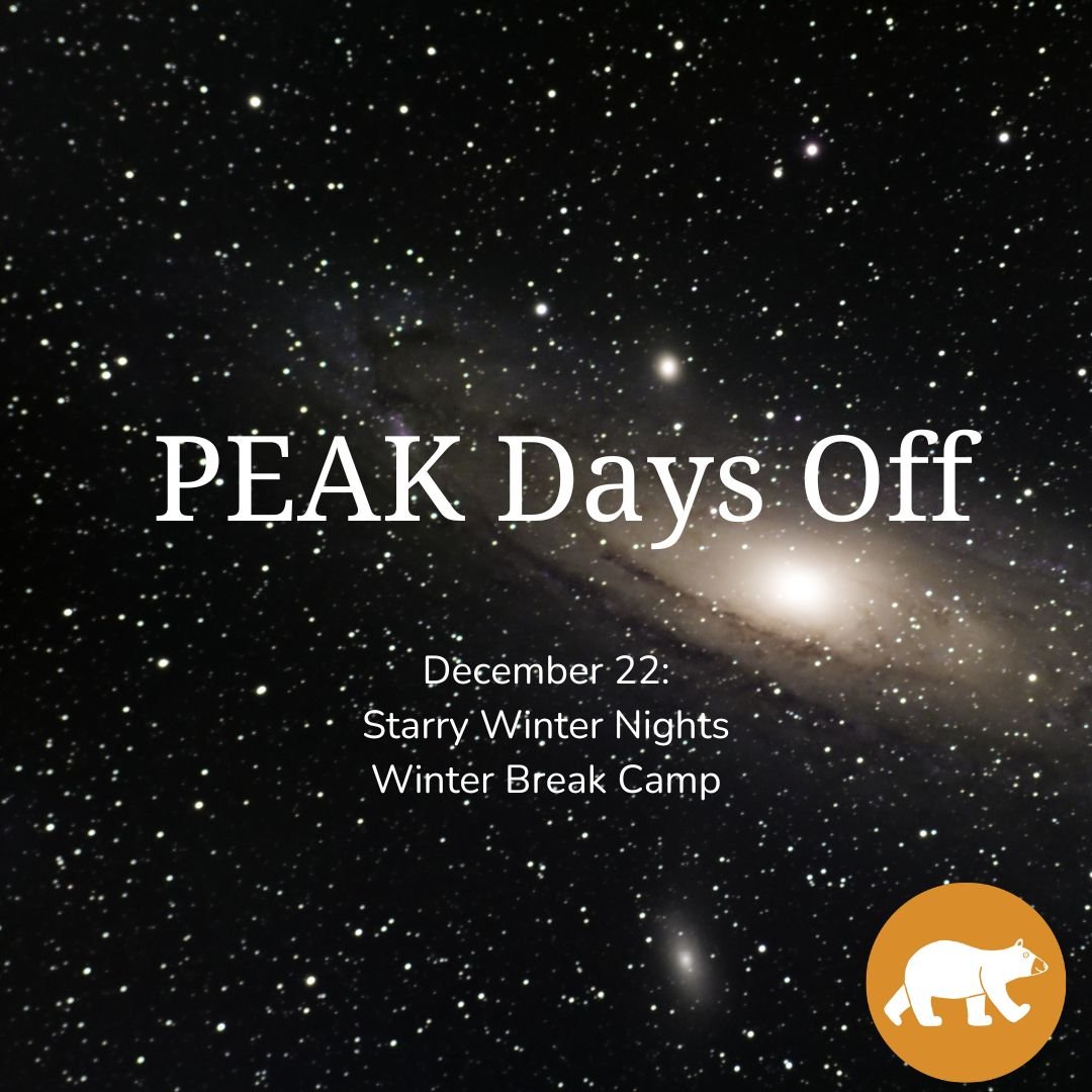 PEAK Days off: Starry Winter Night — Winter Break Camp