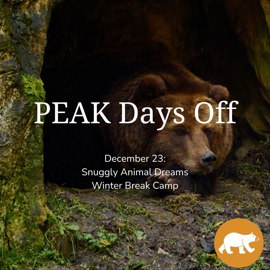 PEAK Days off: Snuggly Animal Dreams — Winter Break Camp