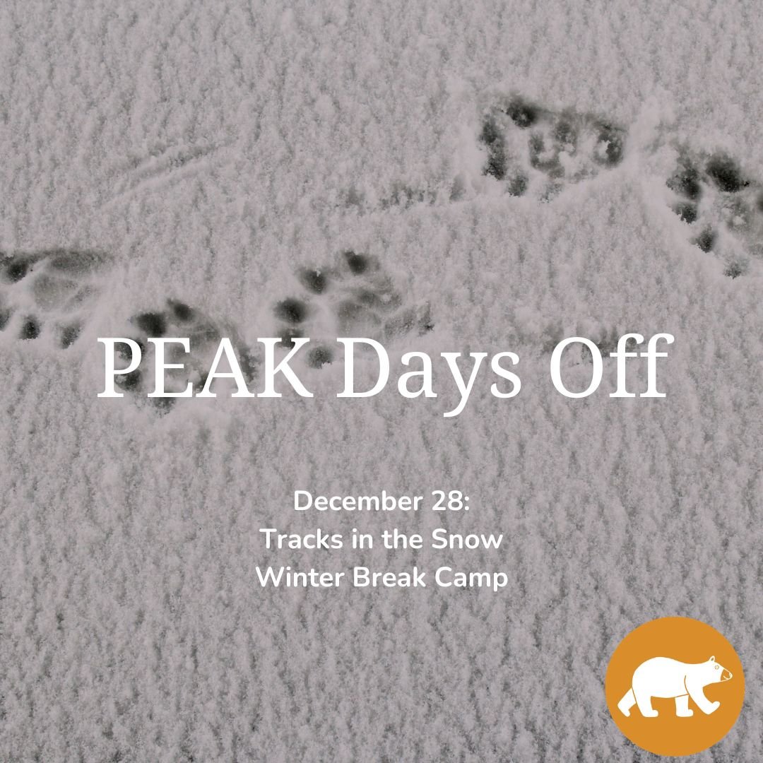 PEAK Days off: Tracks in the Snow — Winter Break Camp