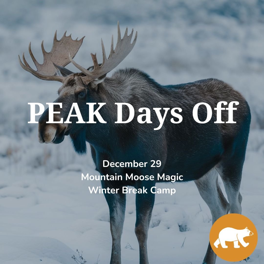 PEAK Days off: Mountain Moose Magic — Winter Break Camp