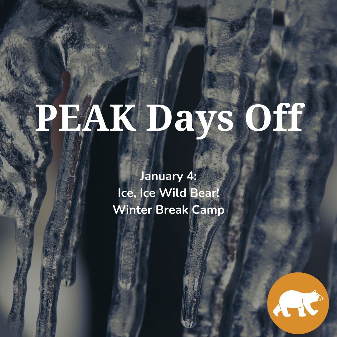 PEAK Days off: Ice, Ice Wild Bear! — Winter Break Camp