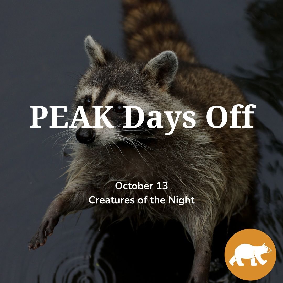 PEAK days off: Creatures of the Night