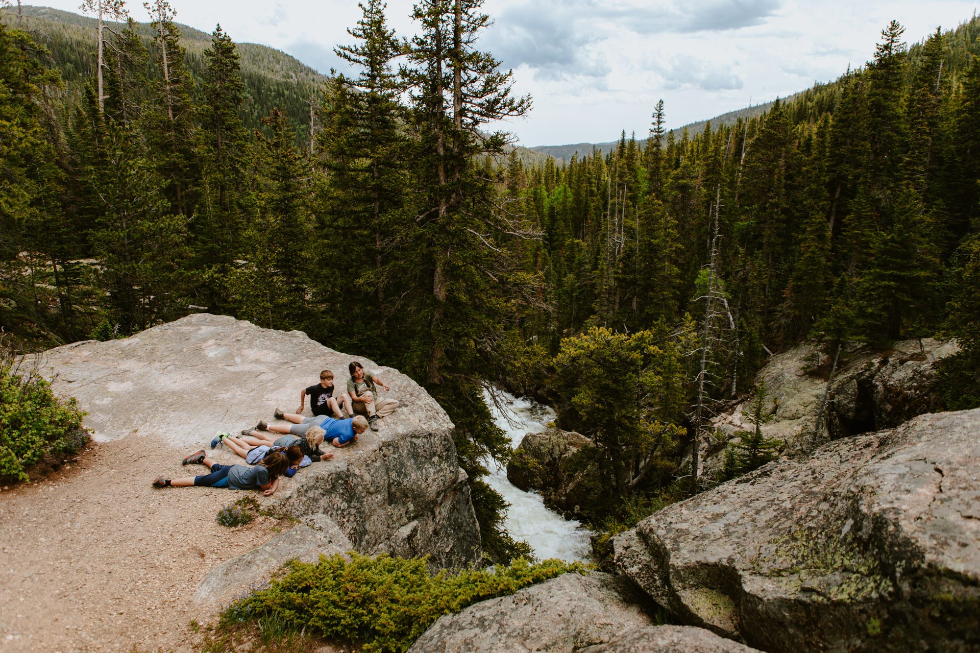 Bear Cubs: Crazy Cliffs &amp; Creeks