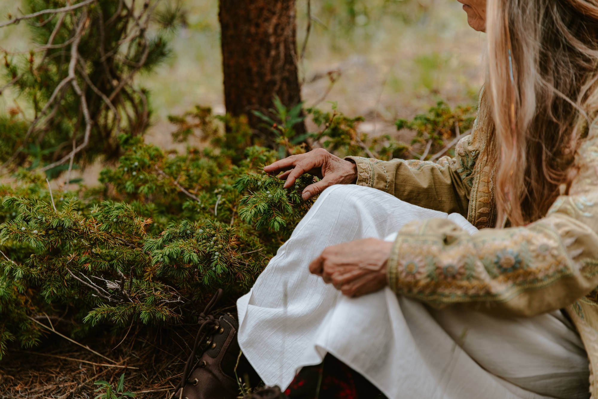 Wild Adventurers: Herbal Foraging Skills (Ages 10-12)