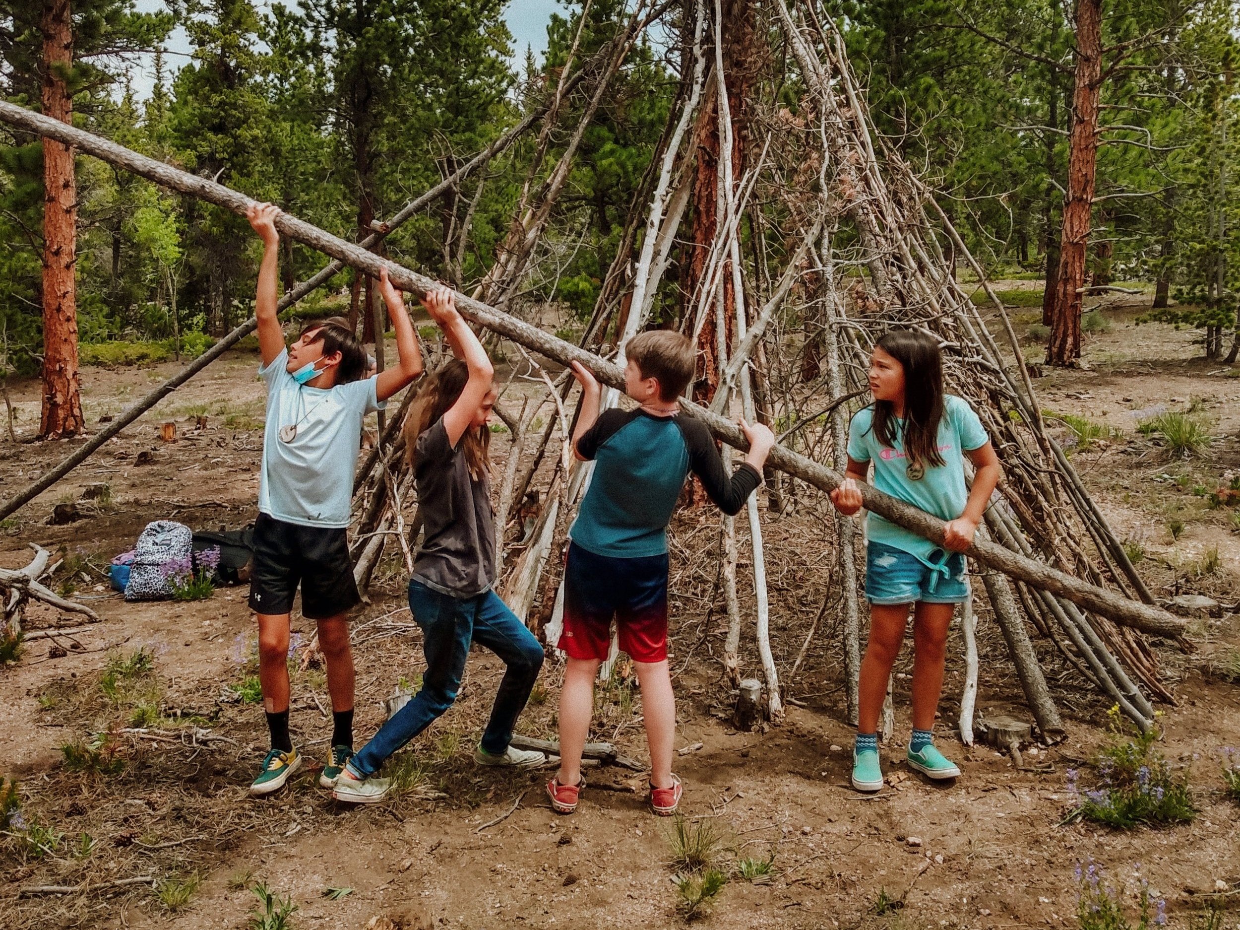 SHELTER with Pam Sherman