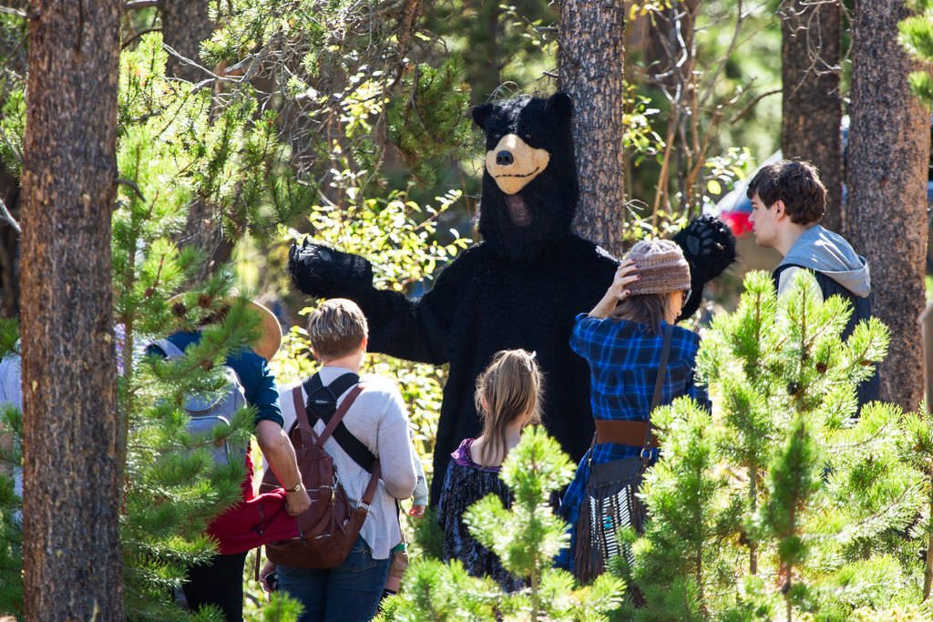 Enchanted Forest - On Hold!