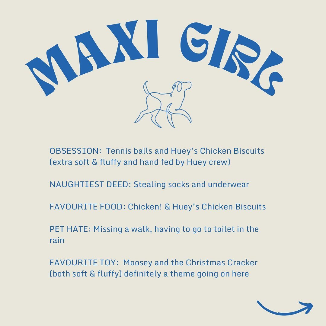 Meet Maxi Girl! 🫶🏼
We have a VIP member who is a charming four-legged doggo. She visits our caravan every day without fail, even in bad weather conditions. We appreciate her visits very much. Her usual order is a chicken biscuit, and on occasion, s