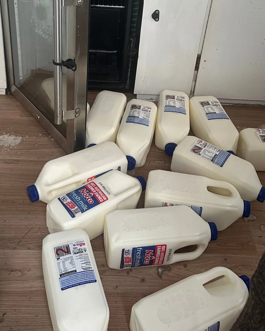 How many times have we left the fridges open?
Way too many!! Will we learn? Probably not 😂