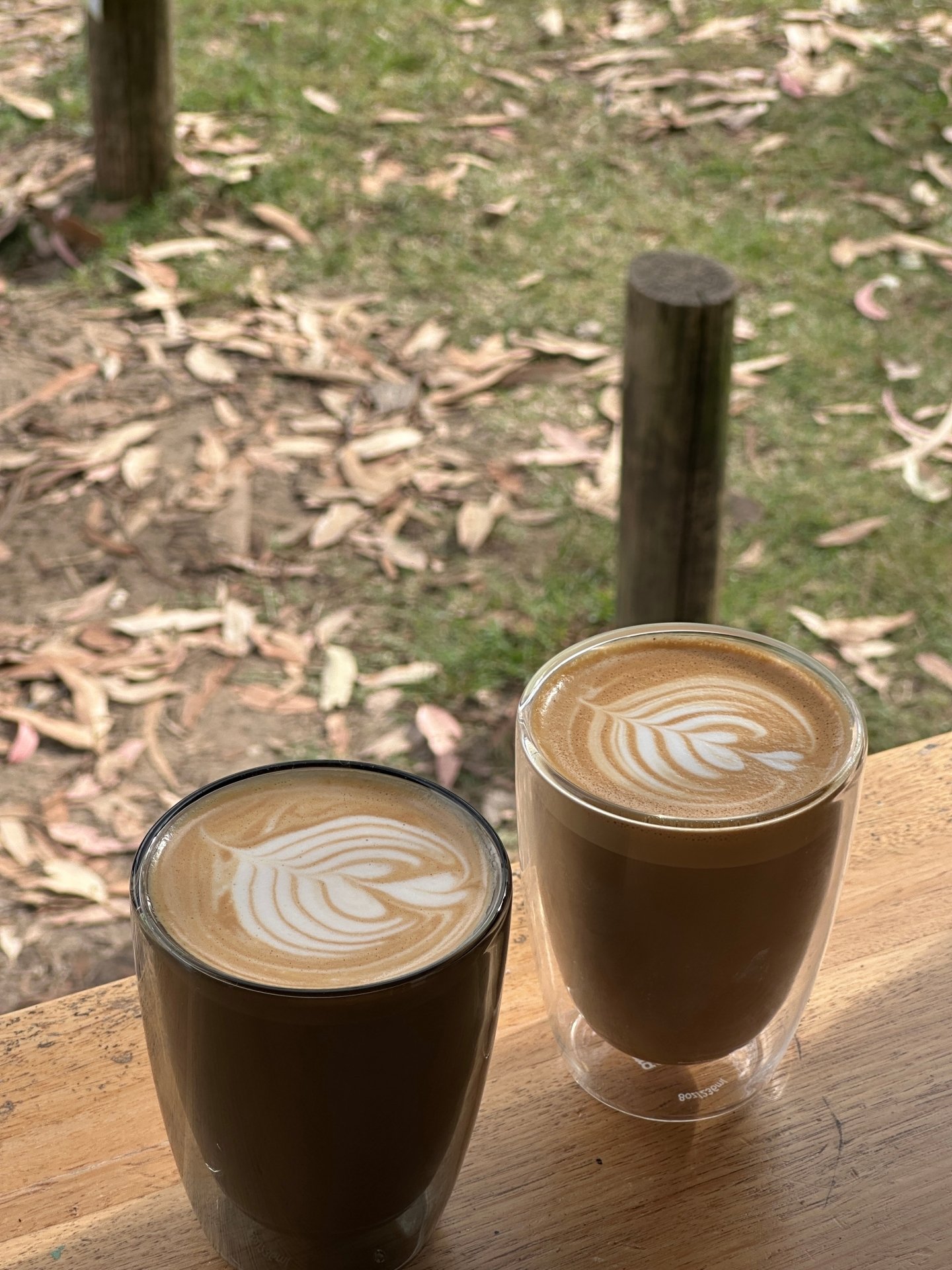 We hope everyone&rsquo;s getting ready for the festive season, because we&rsquo;re definitely gearing up for a busy summer!! 🤠🎄