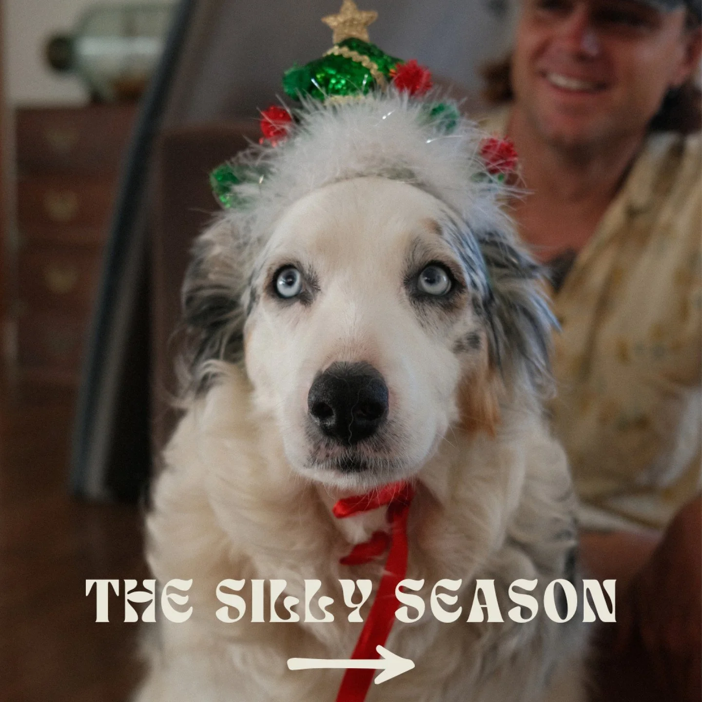 Hello Huey January Update! 
We&rsquo;re open every single day in January &mdash; yes, even Thursdays!

So whether you&rsquo;re on holidays, heading to the beach, or just starting your morning the Huey way, we&rsquo;ll be here pouring the good stuff a