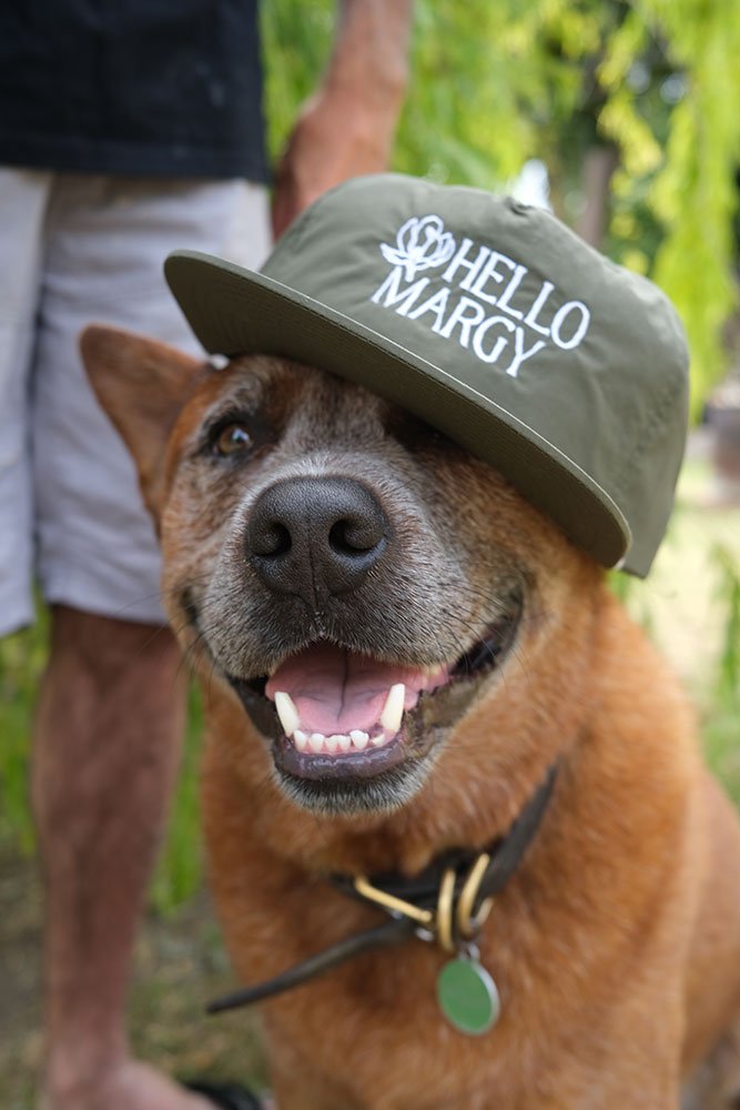 Hello-Margy-Cap-Green-1.jpg (Copy) (Copy)