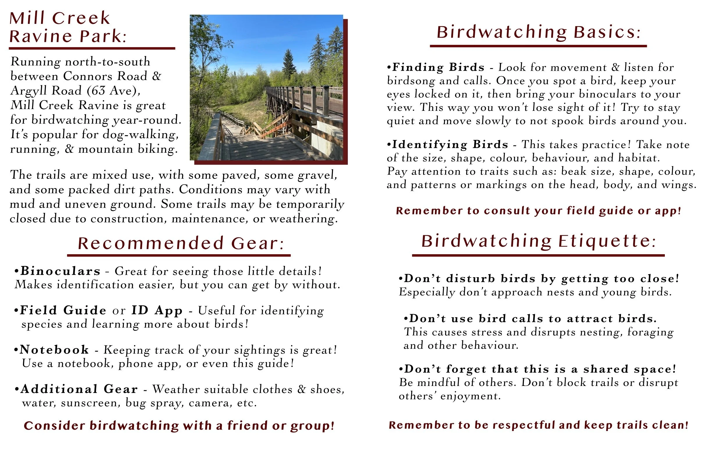 Mill Creek Birdwatching p1.jpg