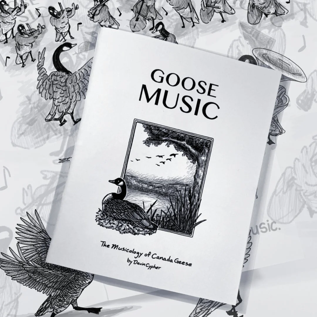 Goose Music Zine