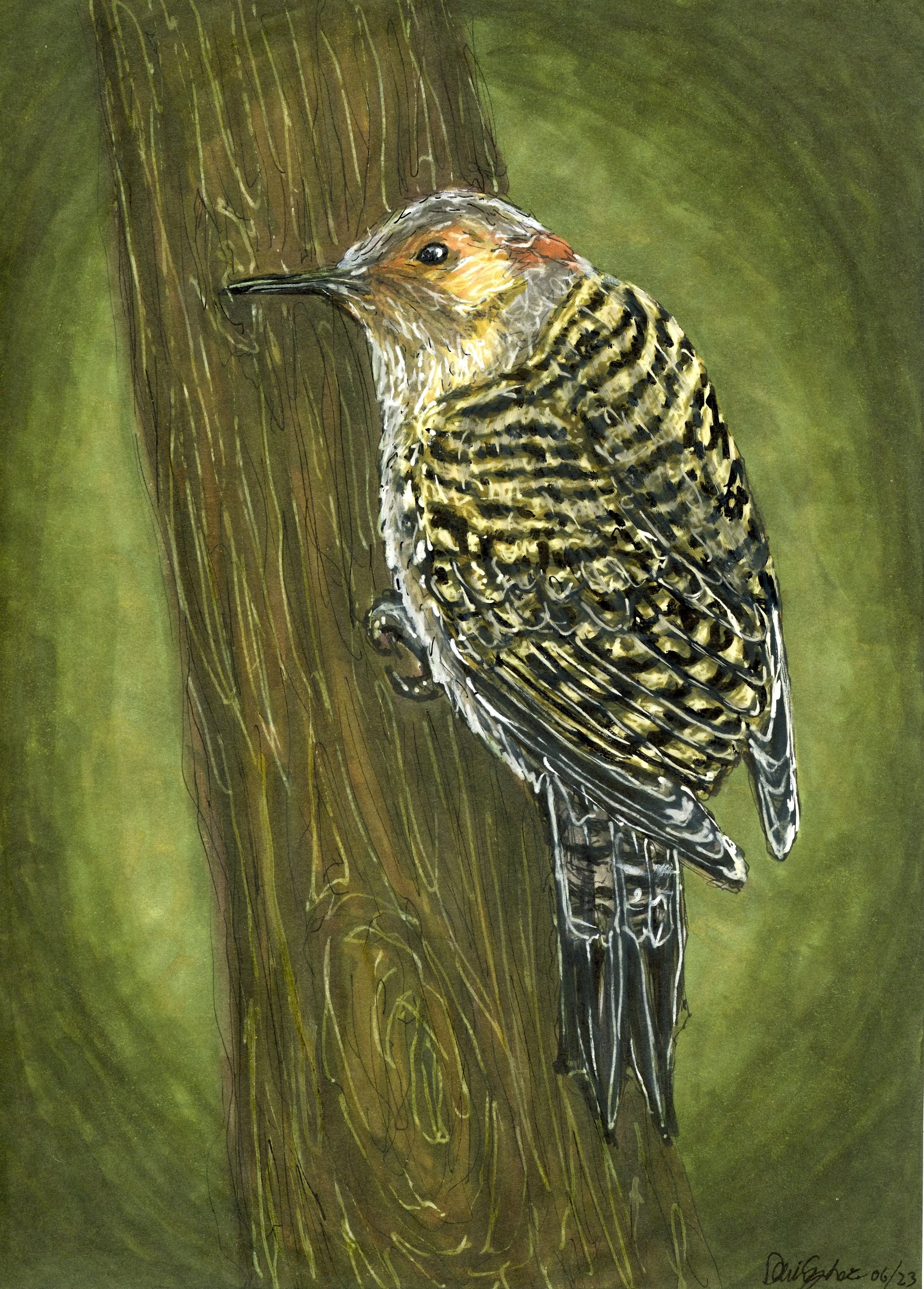 Flicker Small.jpg