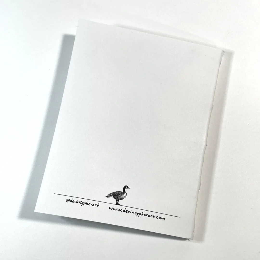 Back Cover flat lay.jpg