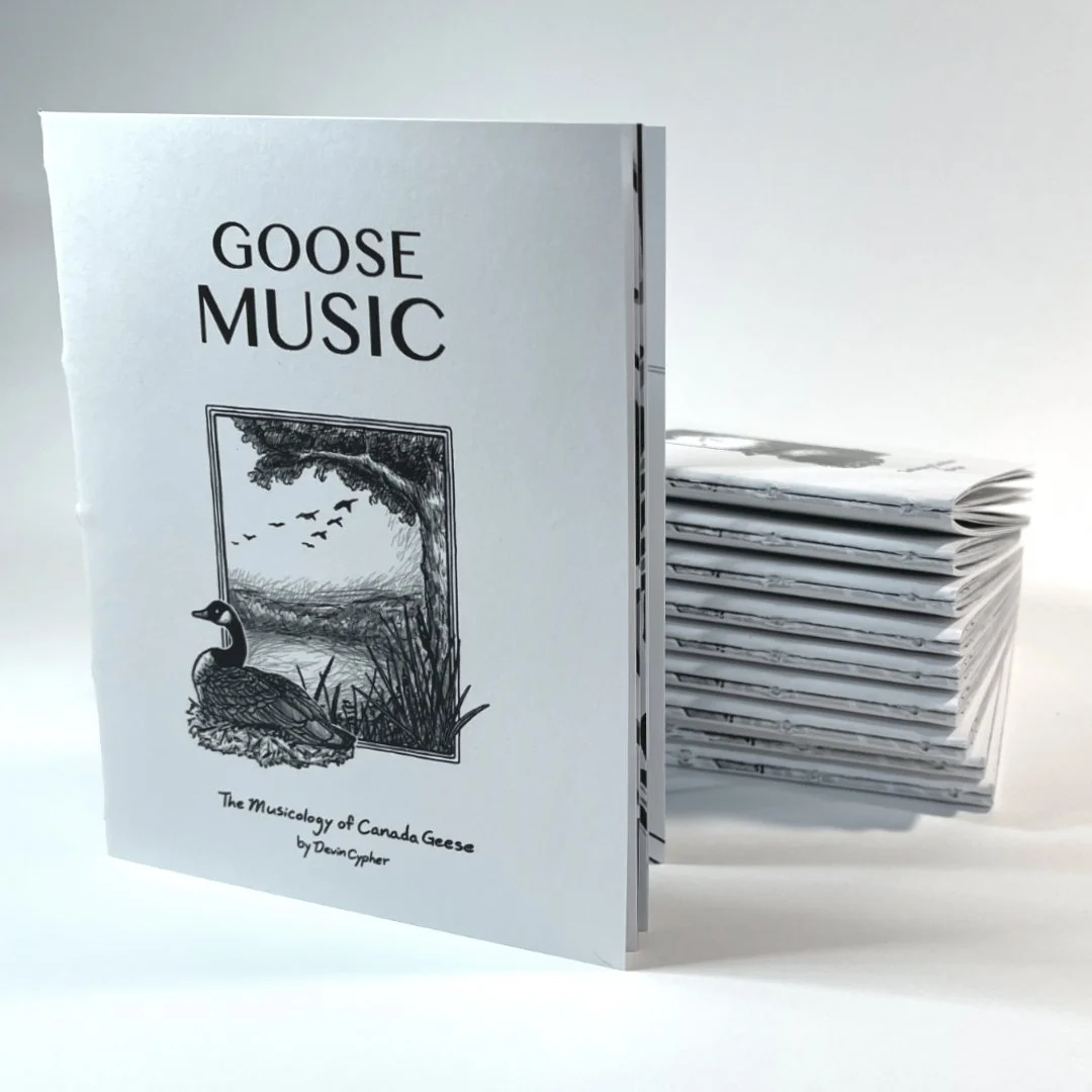 Front cover and stack.jpg