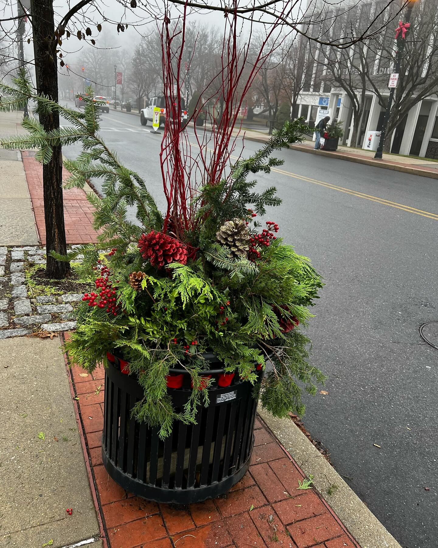 Today our holiday decorating took us to the streets of Yorktown and Shrub Oak. We assembled a total of 35 pots on Commerce and Main Streets. Happy Holidays to all!