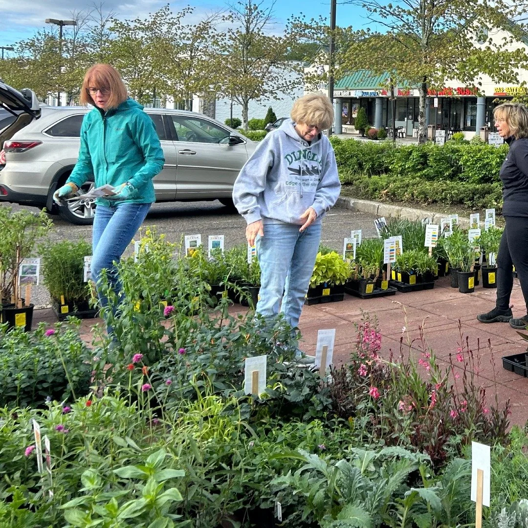 Garden Club of Yorktown members happily provided shoppers with plant knowledge. 
A big thank you to all who came and shopped our annual plant sale! When you buy plants from us, you support our efforts to beautify and maintain our town gardens. We so