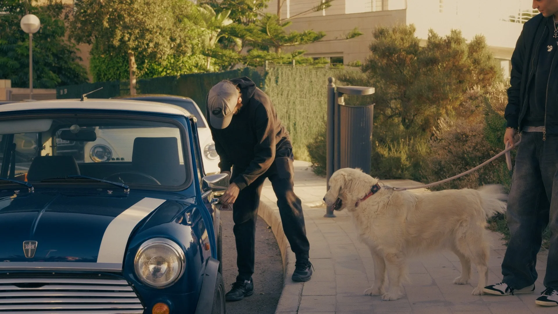 Still 2026-01-22 111931_2.45.1.jpg