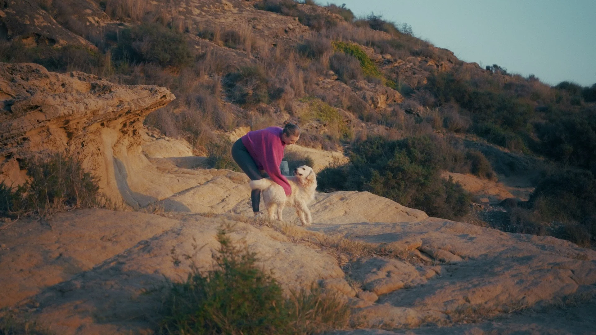 Still 2026-01-22 111931_3.28.1.jpg