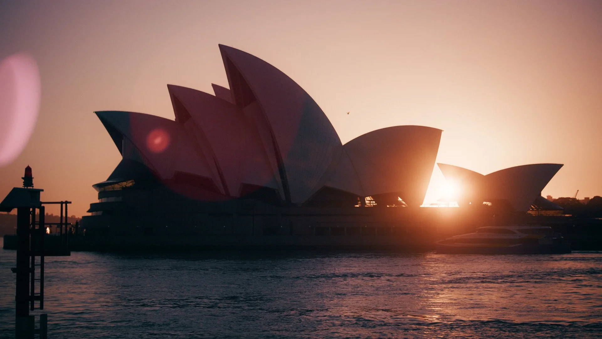 Still 2026-01-22 111931_1.39.1.jpg