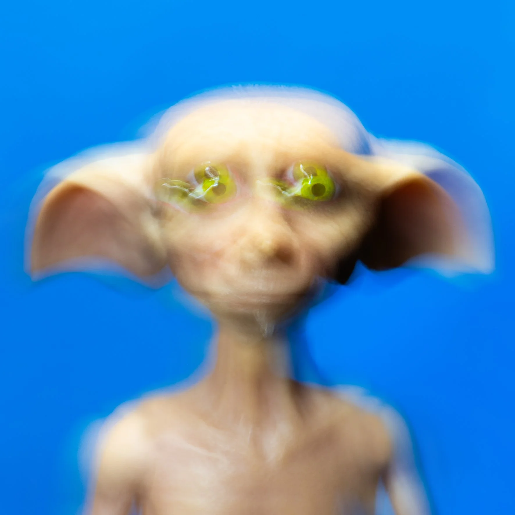 Elf. 2026