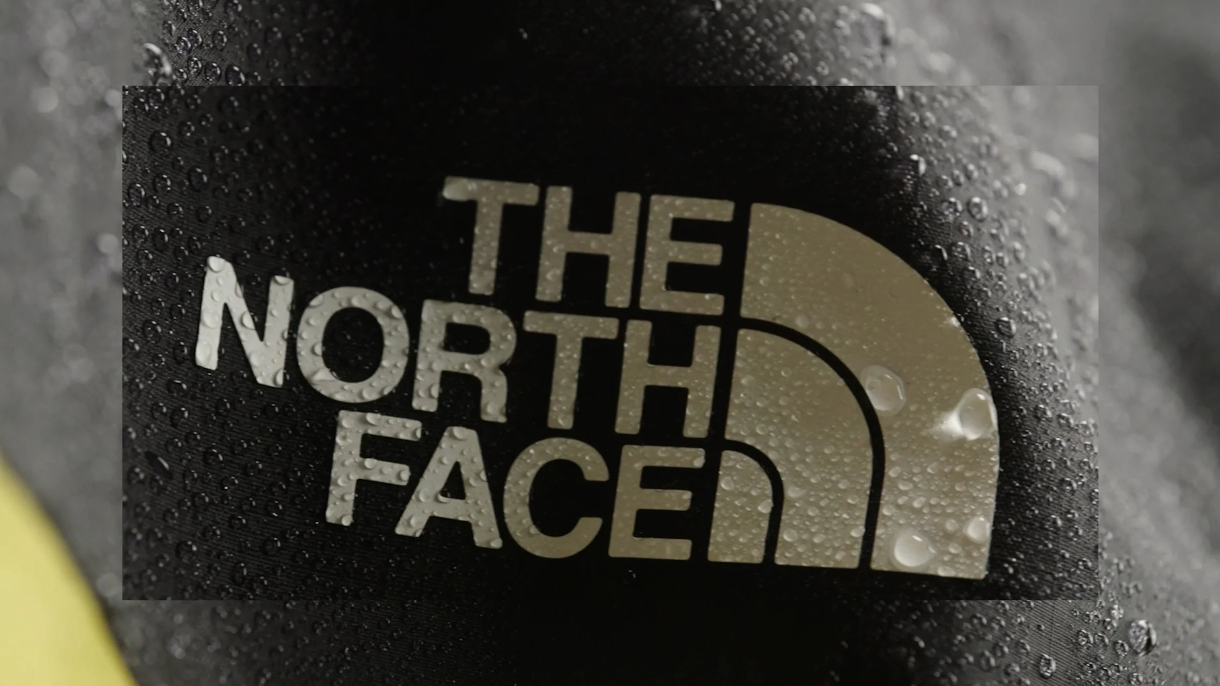 Honest Films_TNF Reel_Still-2.jpg