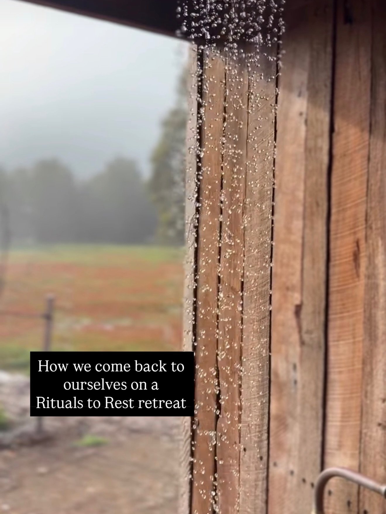 Rituals to Rest retreat, 27th November @wildwoodecoretreat 

It&rsquo;s the reset you know you need 🧡