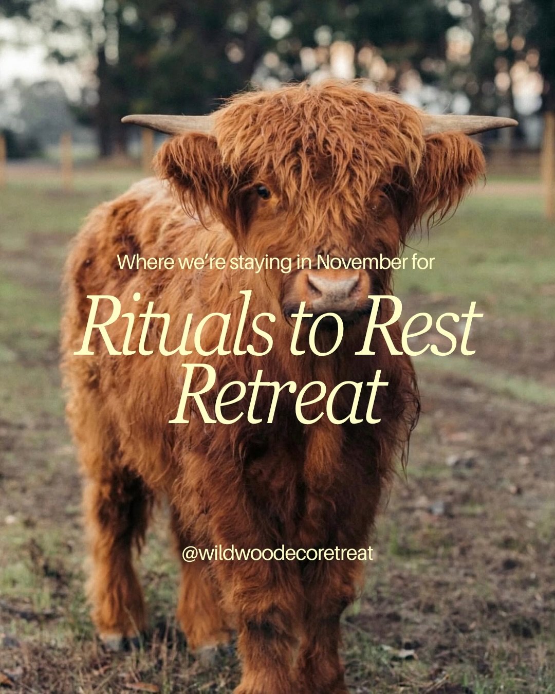 The perfect location to escape, leave the noise behind and rest here with us on our next Rituals to Rest Retreat. An unhurried schedule where you have an opportunity to discover sustainable rituals that will create more space in your future days, les