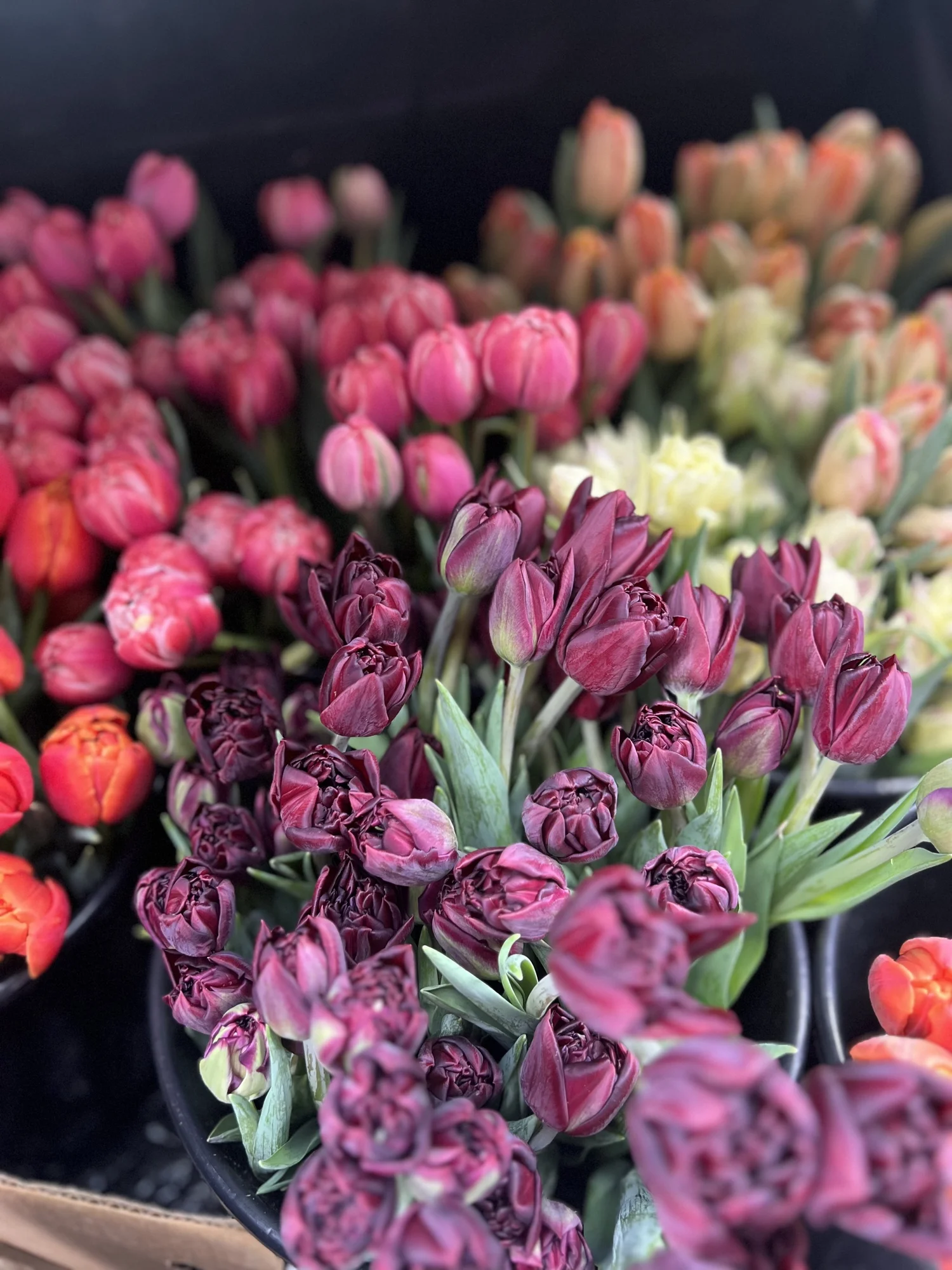 Local Flowers Delivered — JARN Co. Flowers Flower Delivery in Everett