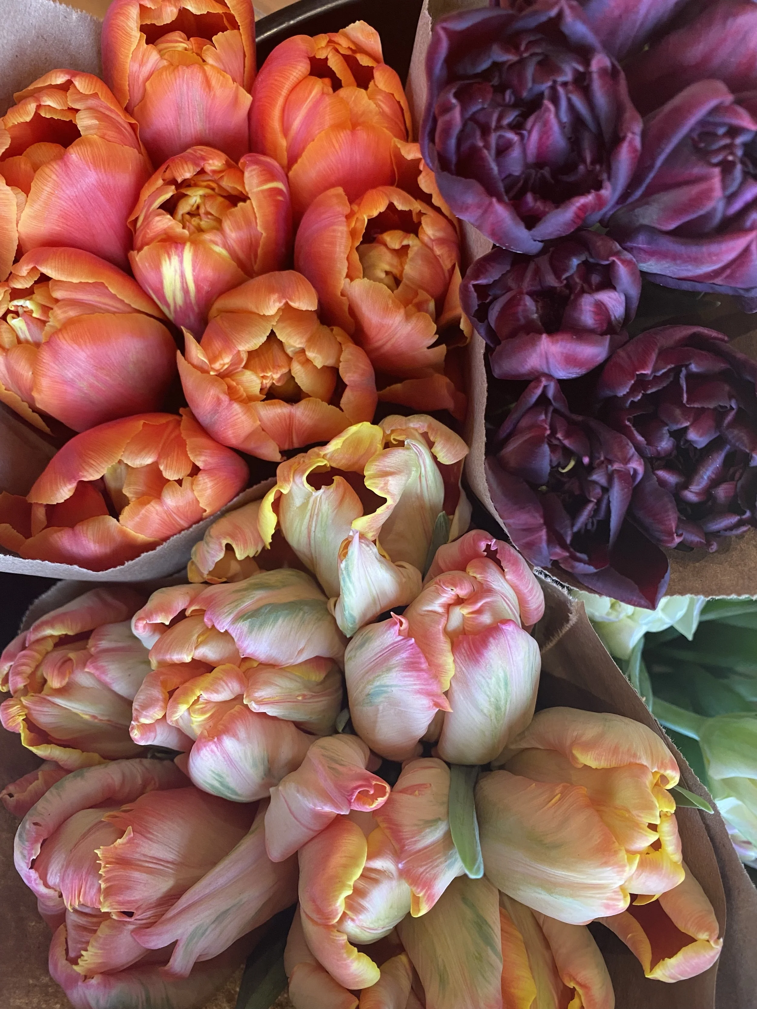 General 1 — JARN Co. Flowers Flower Delivery in Everett Seattle