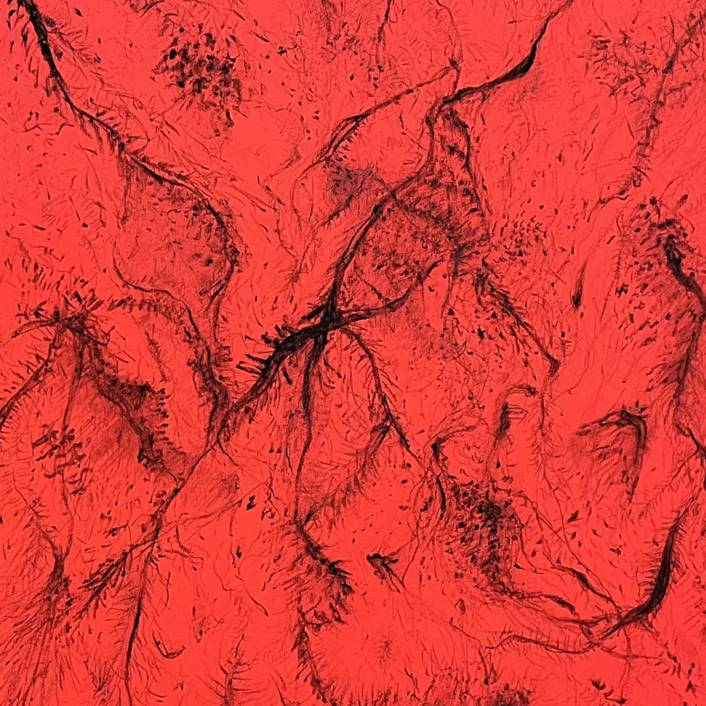 rebith carré détail 2.jpeg