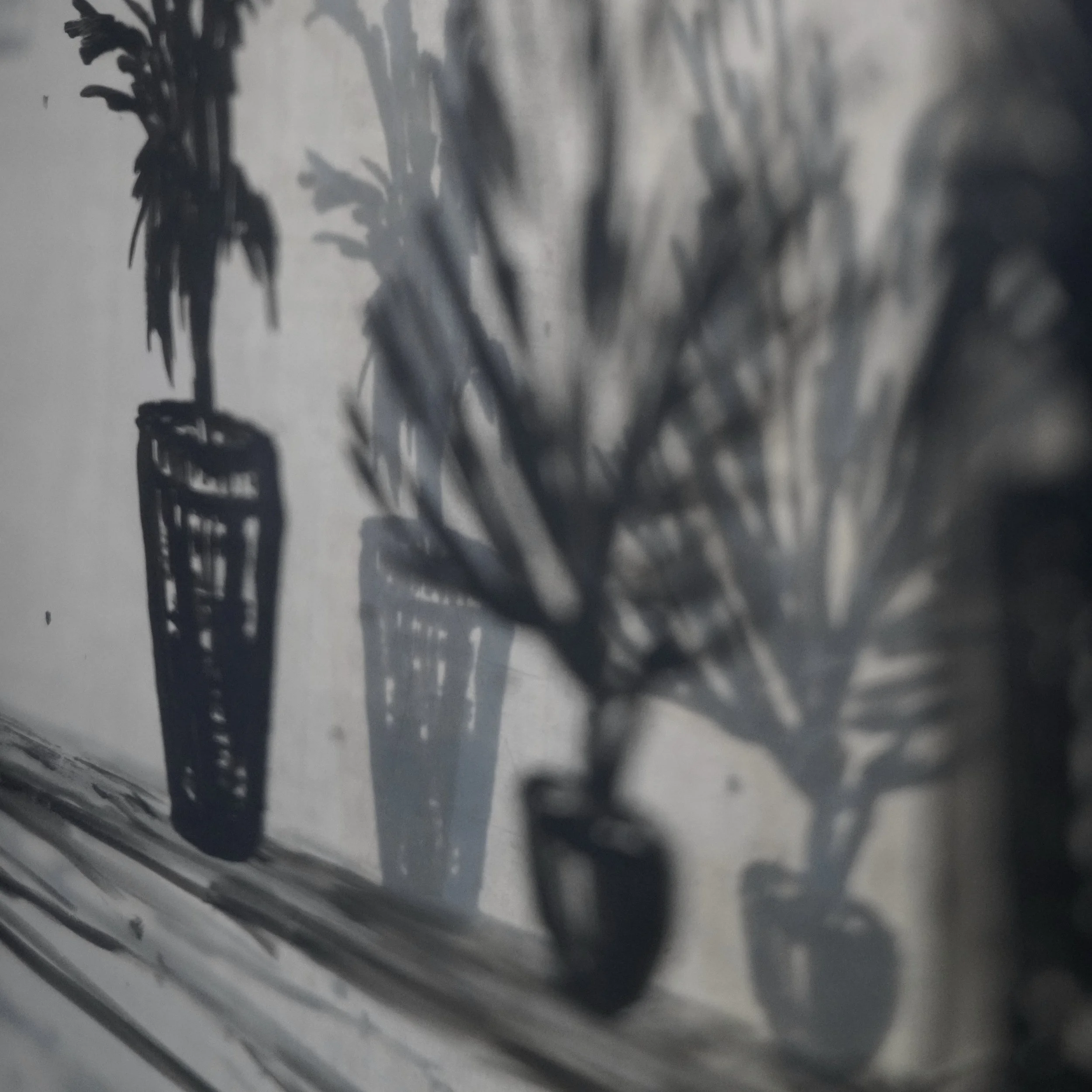 _DSC5785 carré .JPG