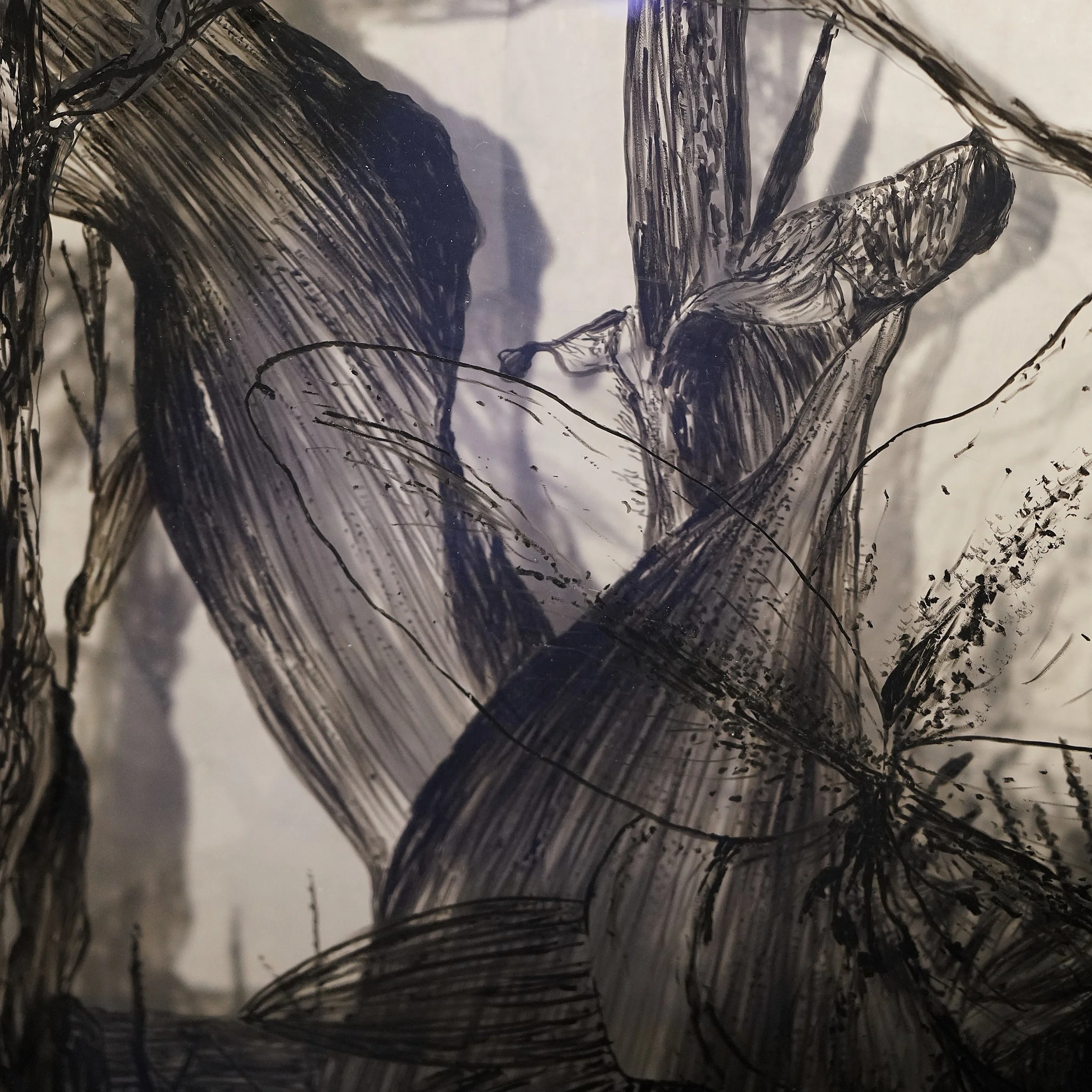 _DSC5659 + modified carré .JPG