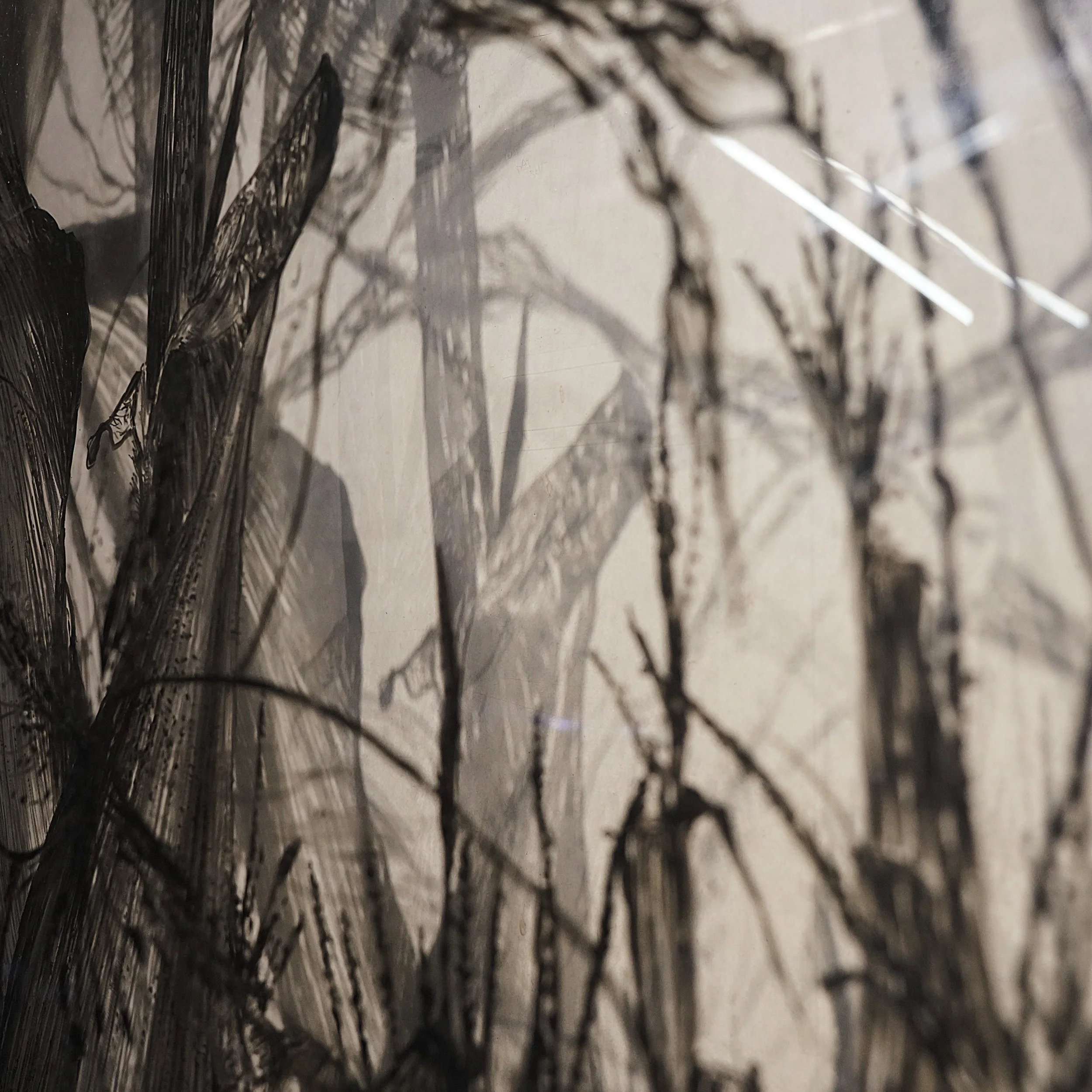 _DSC5677 + modified carré .JPG