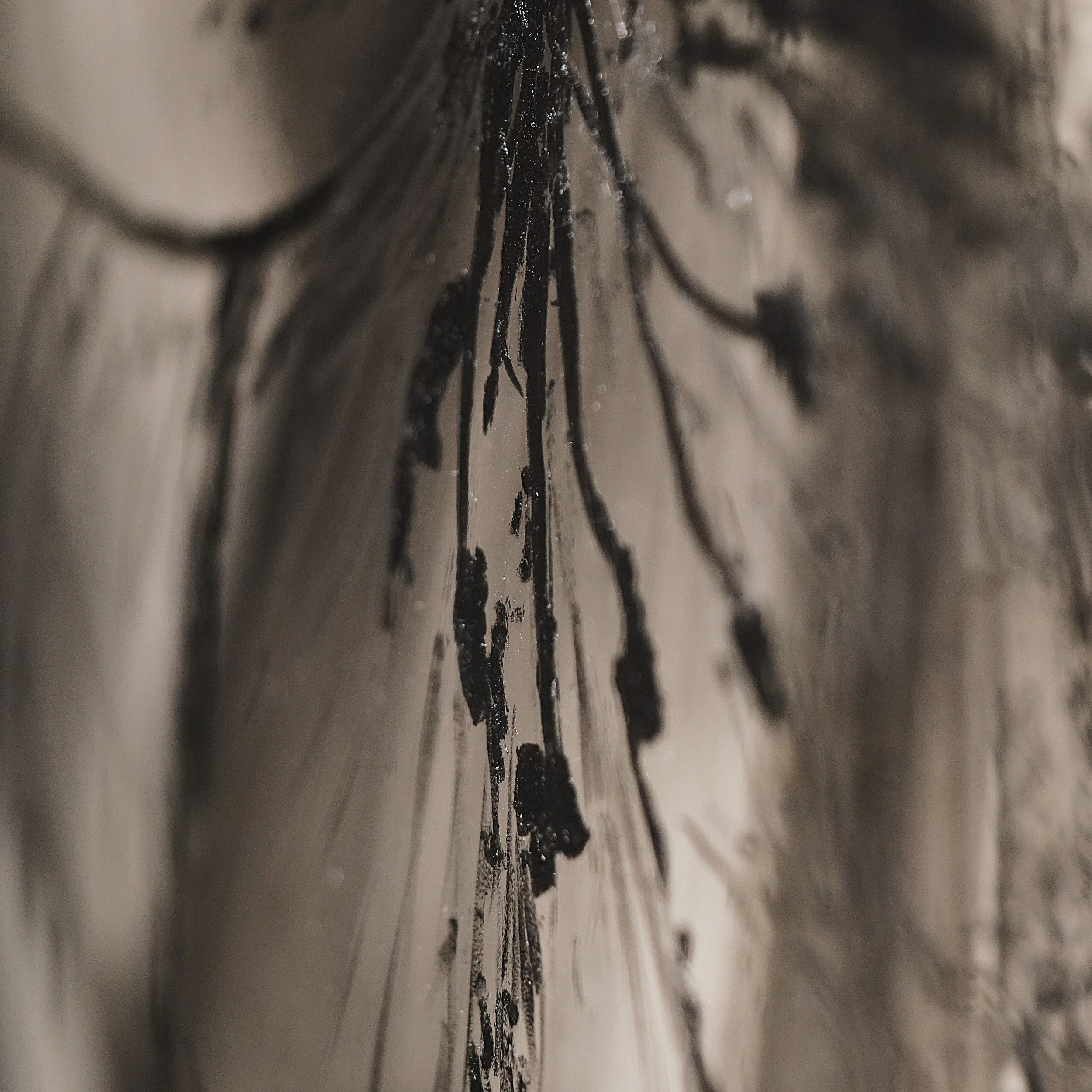 _DSC5828 + modified carré .JPG