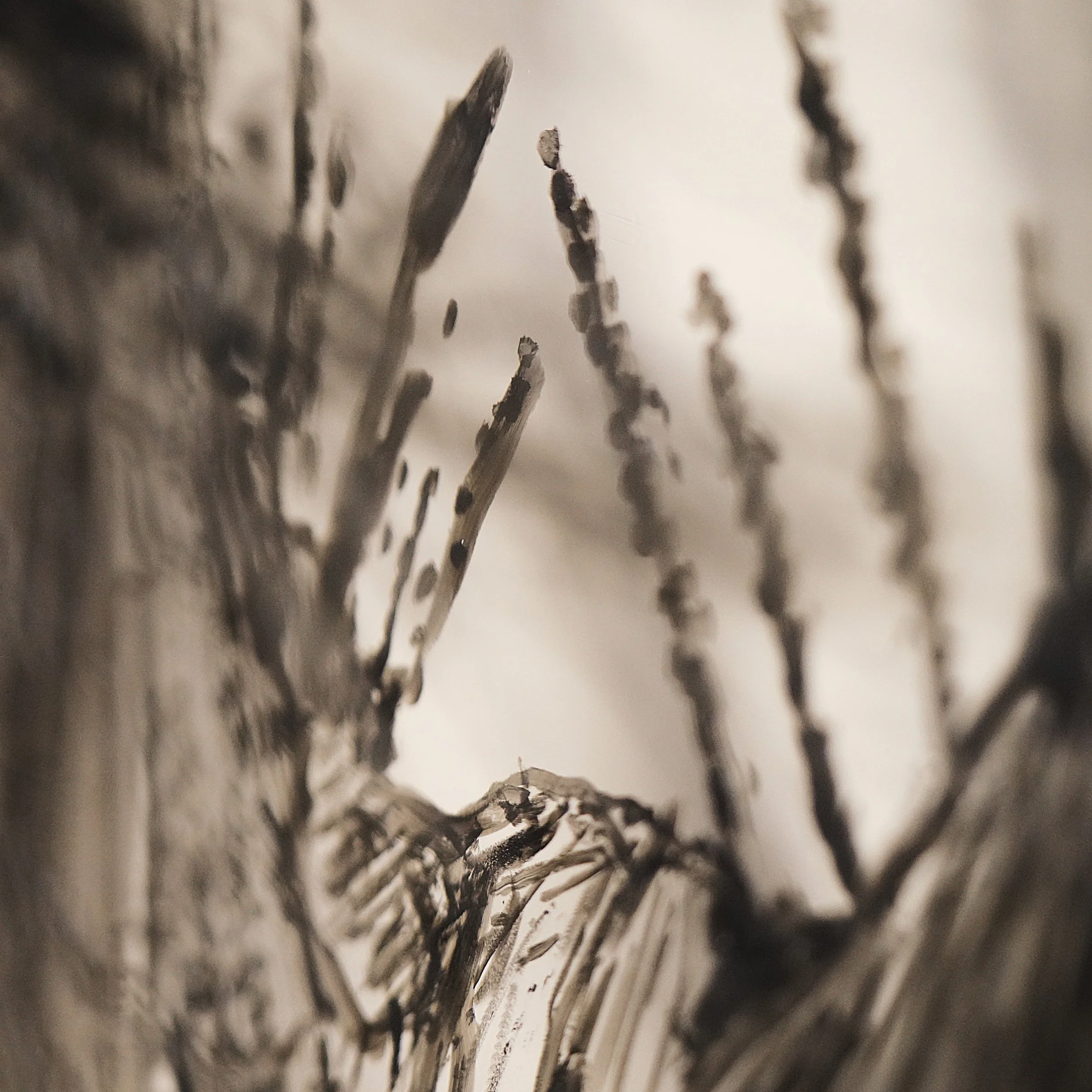 _DSC5828 + modified carré 2 .JPG