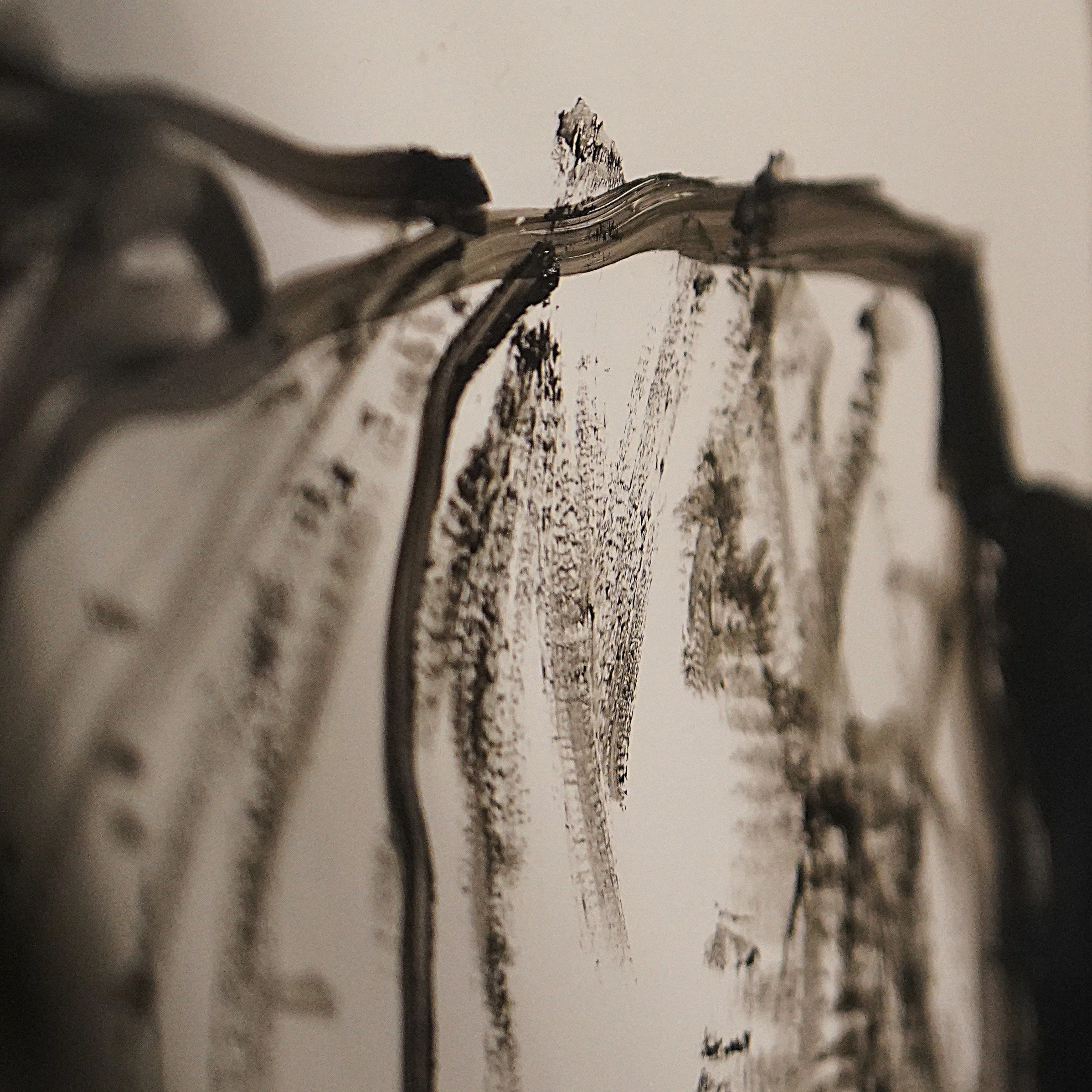 _DSC5832 + modified carré .JPG