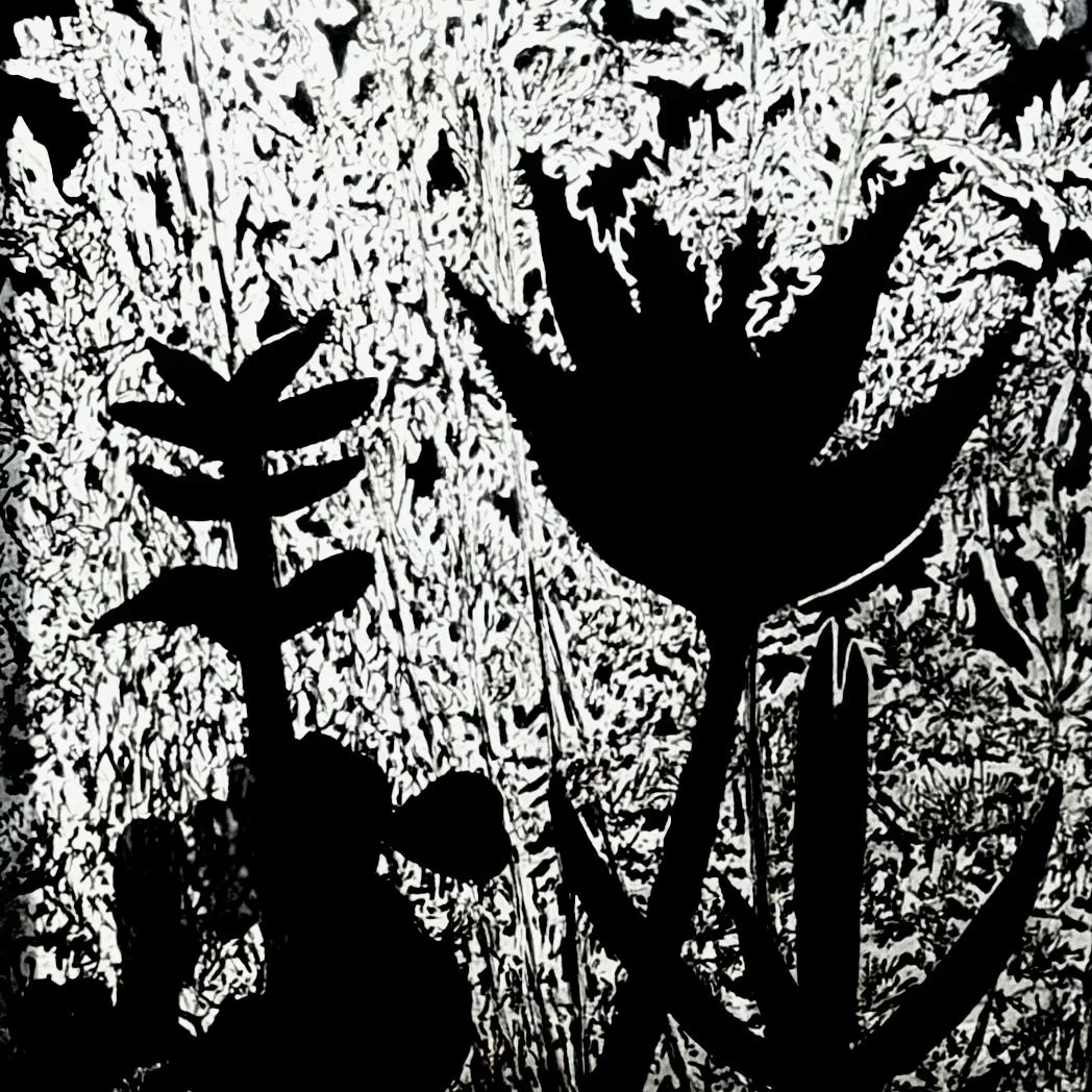 Trees dancing in secret - The ritual unites the assauts - A night that intoxicates all our senses  